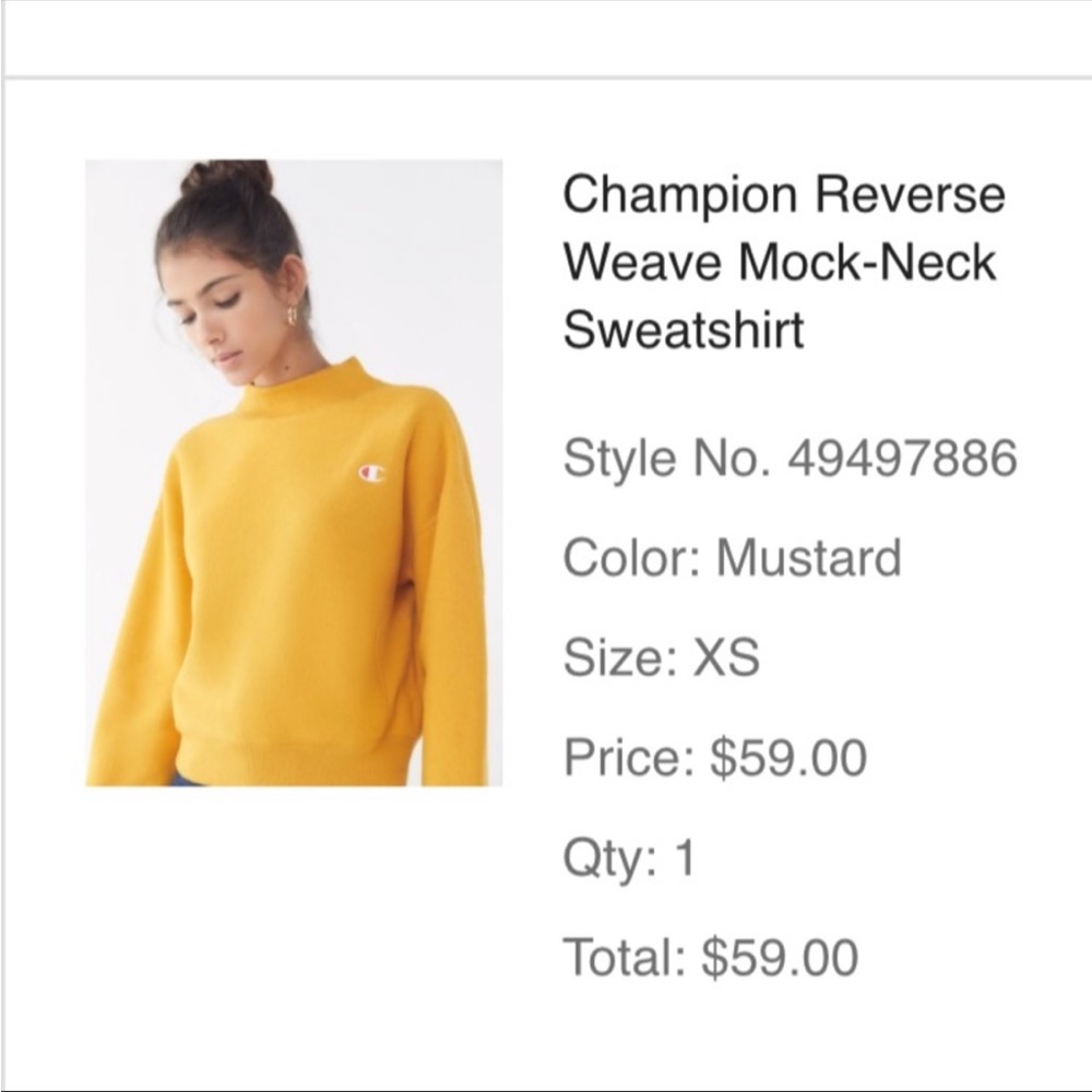 Champion sweater shirt